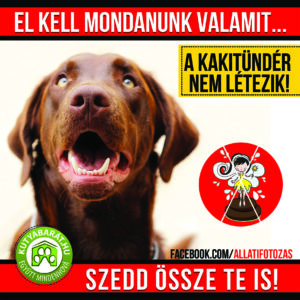 plakat (1)