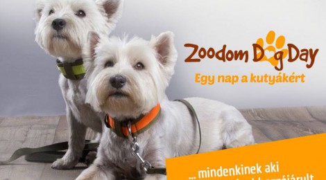 ATV Mancsvár Zoodom Dog Day