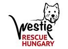 Westie Rescue Hungary